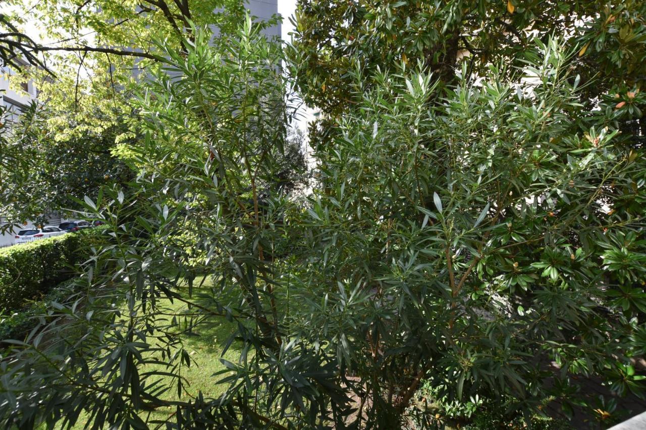 Lake Como Holiday Apartments Luaran gambar